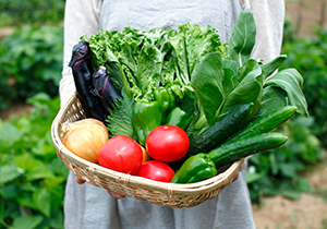 道の駅うすいに販売されている新鮮でおいしい野菜